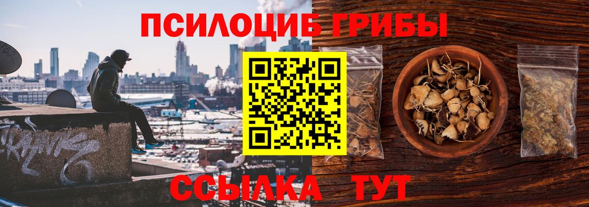 Псилоцибиновые грибы мицелий Крымск
